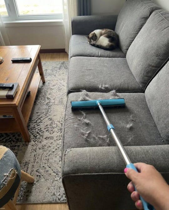 FurCleer — Put an end to pet hair and feel free in your home | Stornfield