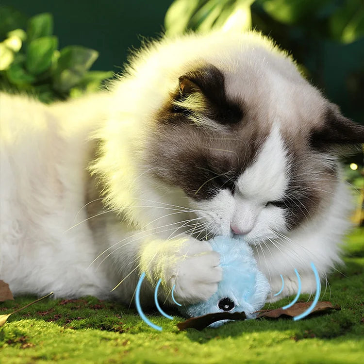 Stornfield | – Smarter Interactive Plush Ball for Cats | Buy 1, Get 1 Free 🎁