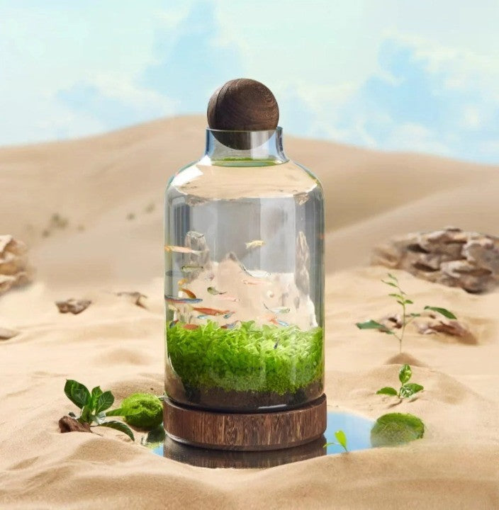 Micro Aquarium Compact Glass Ecological Fish Tank | Stornfield