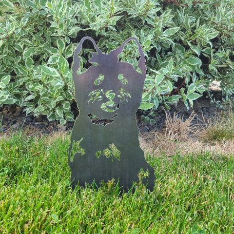Cairn Terrier | Stornfield