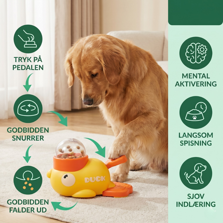 FeediDuck Slow Feeder for Dogs and Cats | Stornfield