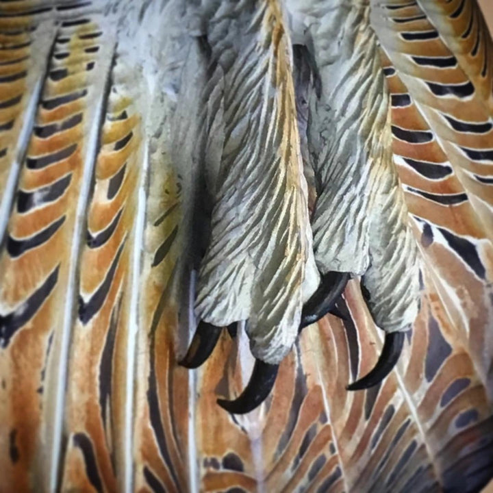 Stornfield | Great owl gaze in artistic edition