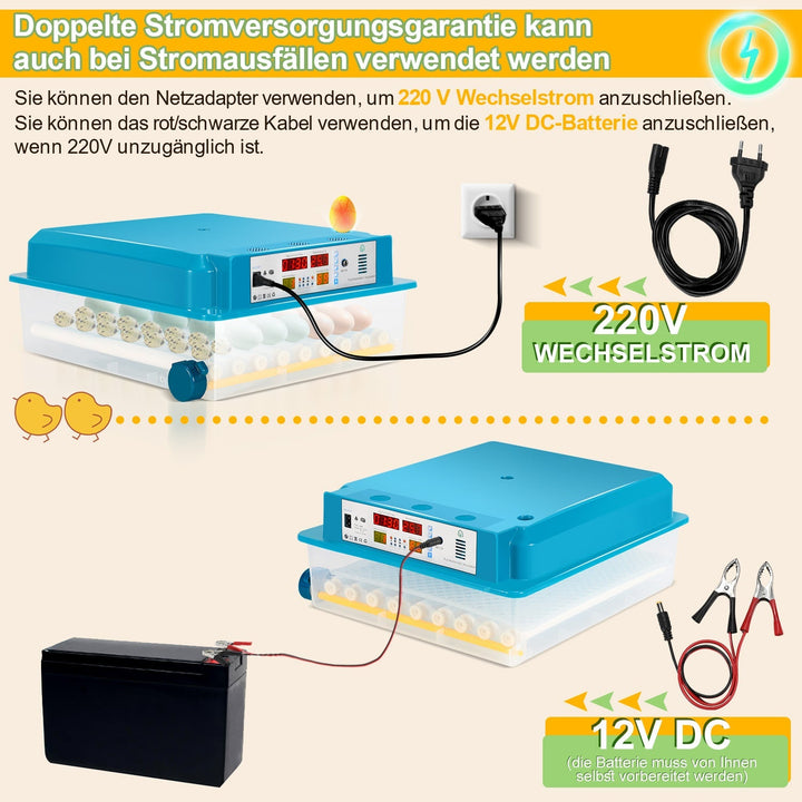 Brutautomat Fully Automatic Incubator for Chickens 64 Eggs | Stornfield