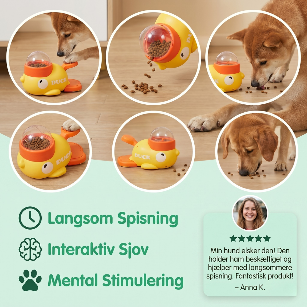 FeediDuck Slow Feeder for Dogs and Cats | Stornfield