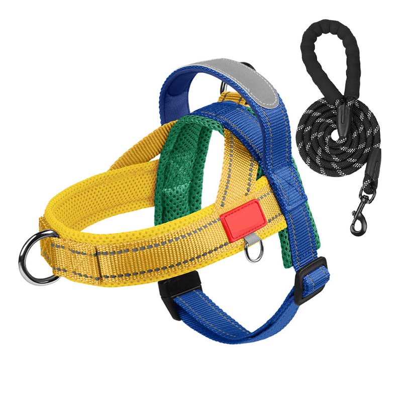 PawEase Comfort Harness — Relaxed Dressing and Unlimited Freedom for Your Dog | Stornfield