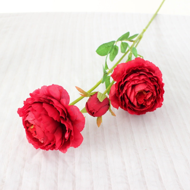 Realistic Peony Floral Stem