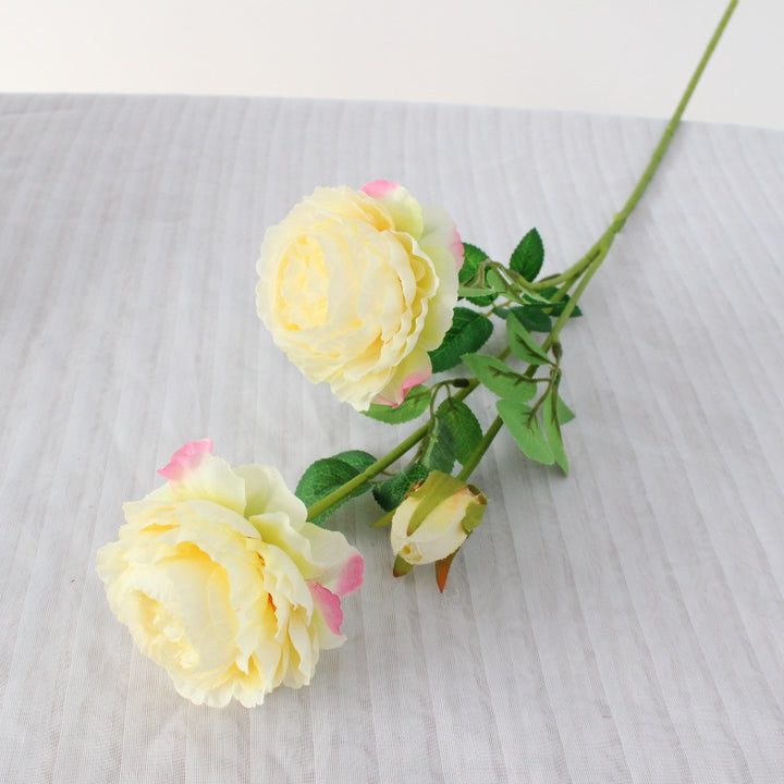 Realistic Peony Floral Stem