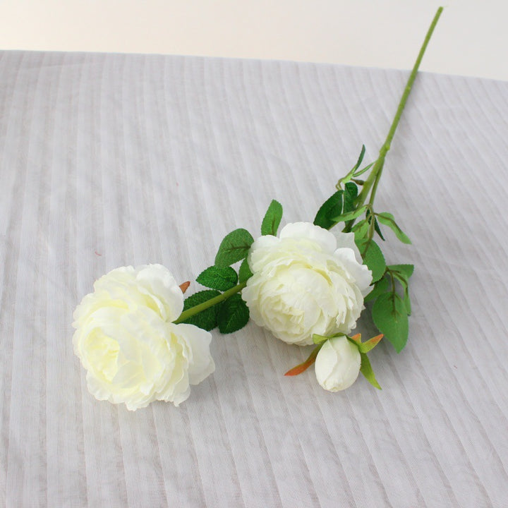 Realistic Peony Floral Stem