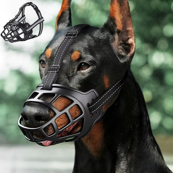 GuardPaw — Finally enjoy every walk worry-free and secure | Stornfield