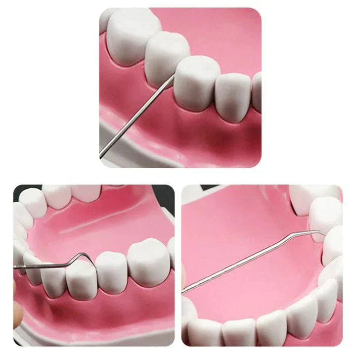 Your Oral Hygiene Care Kit Stainless Steel Eco-Friendly and Sustainable | Stornfield