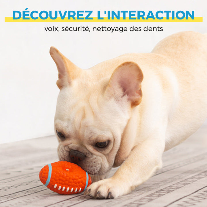 Immortal toy for aggressive chewers | Stornfield