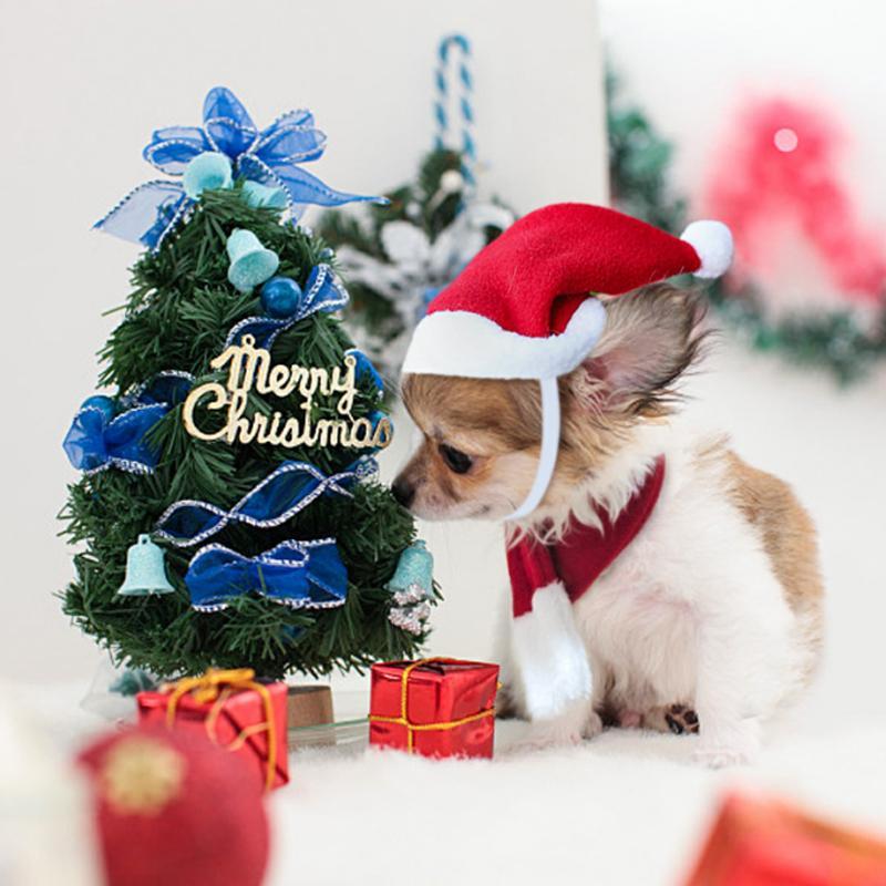 Christmas Decoration Santa Hat with Scarf | Stornfield