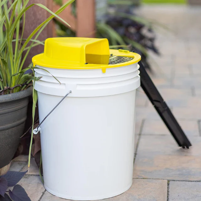 Reusable live trap for mice & rats | Stornfield