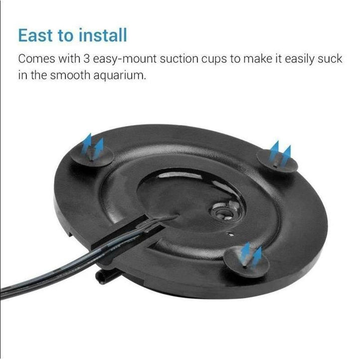 Aquarium Volcano Ornament Kit | Stornfield