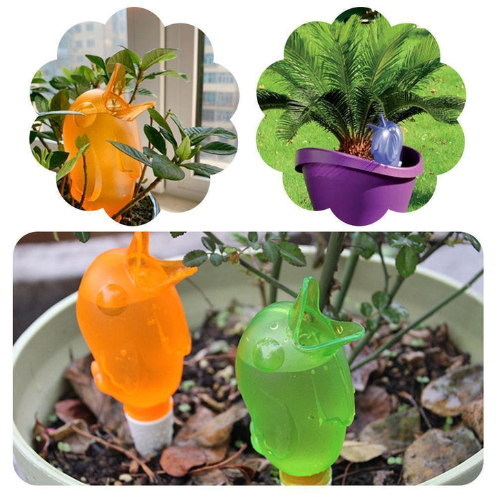 Automatic small bird watering device | Stornfield
