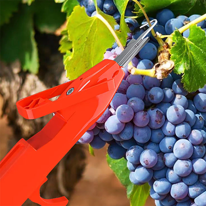 Efficient Pepper Picking Tools | Stornfield