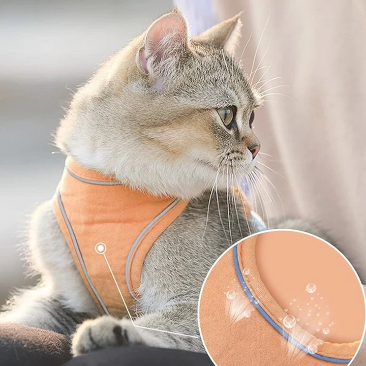 Harness and Leash Set for Cat | Stornfield