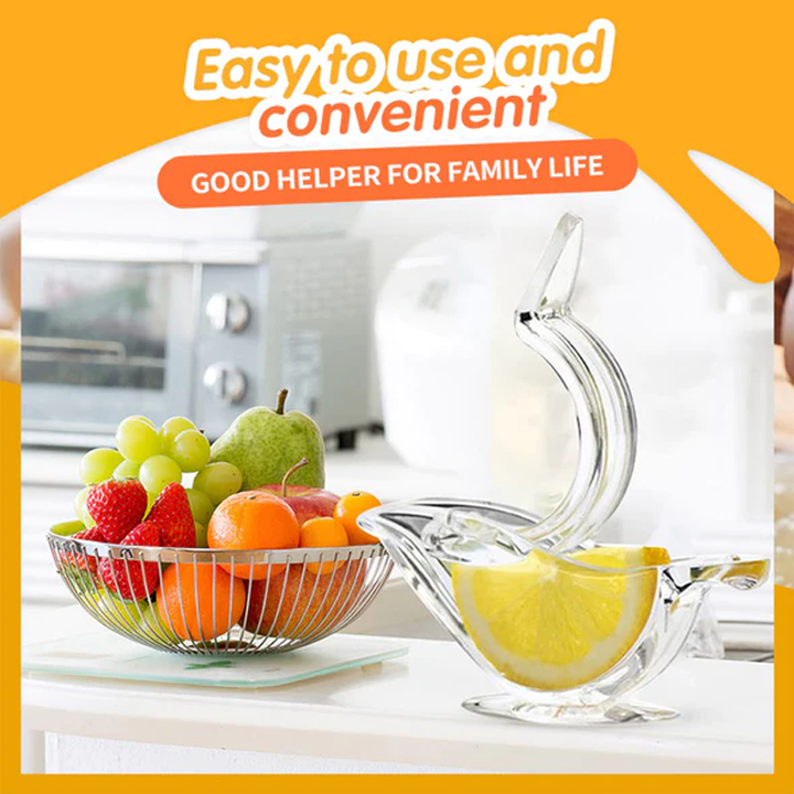 Transparent Manual Juicer | Stornfield