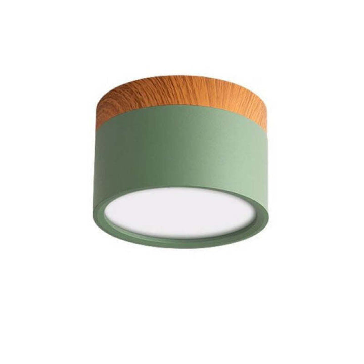 Morandi Style Modern LED Ceiling Lamp - LumiModo | Stornfield