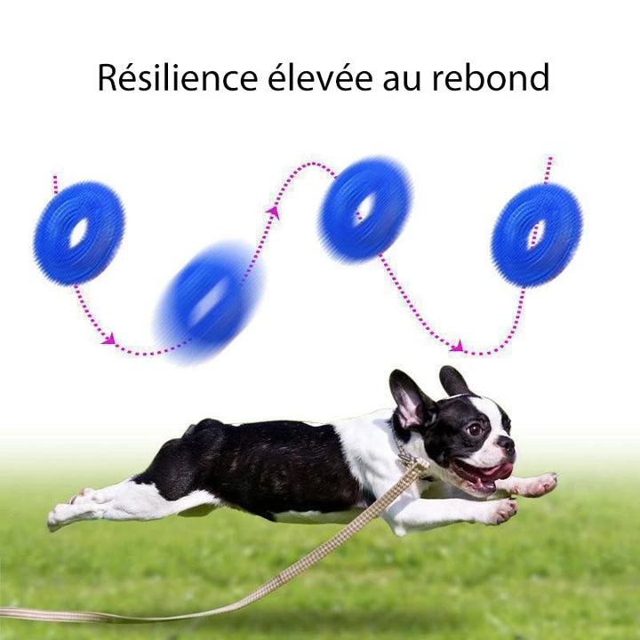 Vocal Ball Toy for Dog to Bite | Stornfield