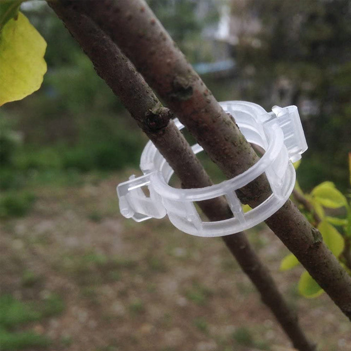 Plastic ring for holding plants | Stornfield