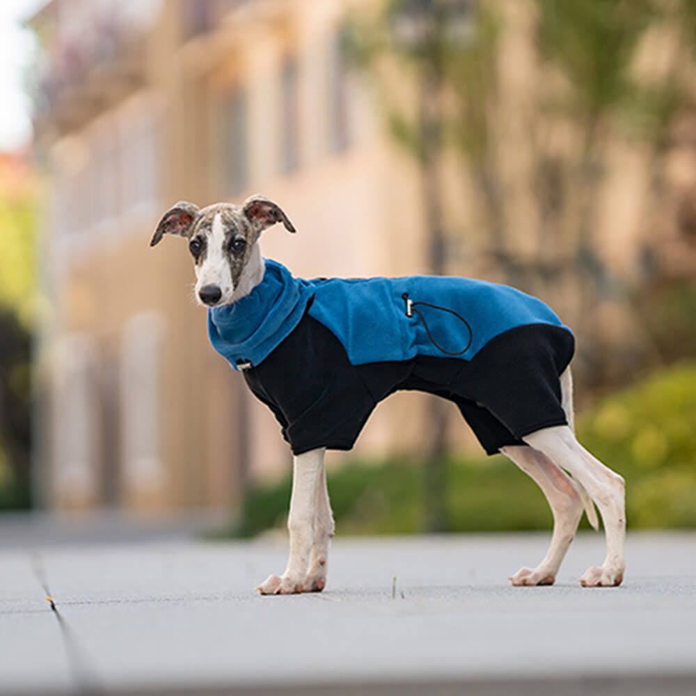 Stornfield | Full Protection Fleece Dog Bodysuit with Detachable Collar