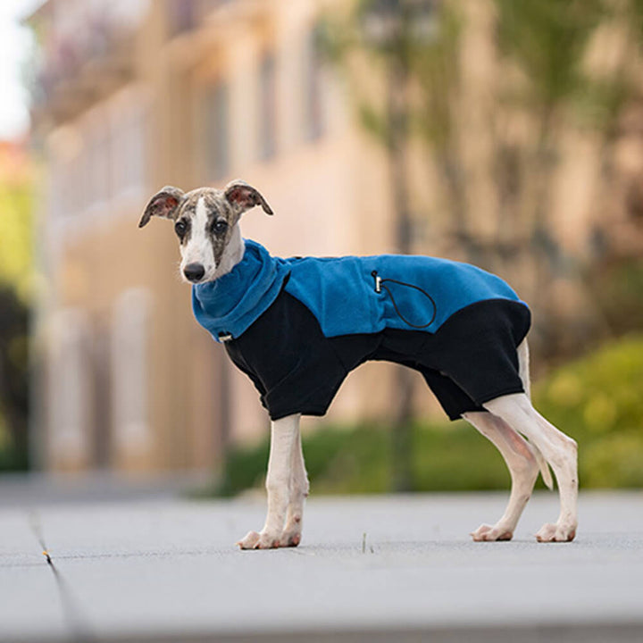Stornfield | Full Protection Fleece Dog Bodysuit with Detachable Collar