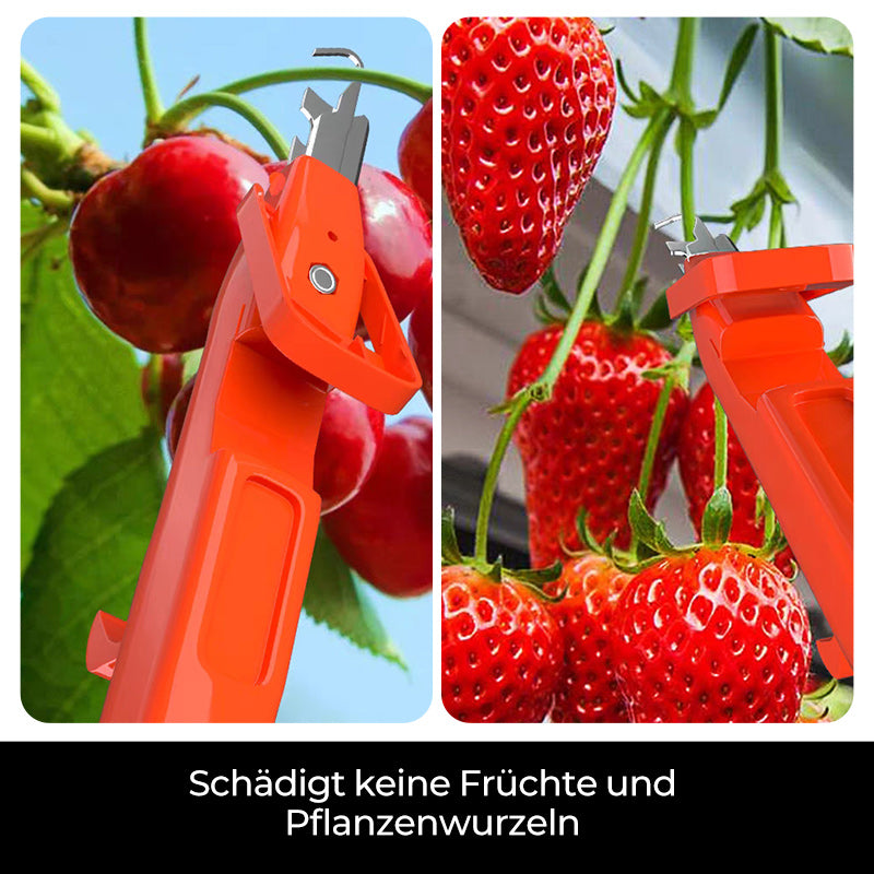 Efficient Pepper Picking Tools | Stornfield