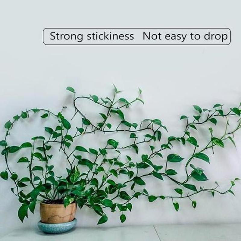 Wall Clips for Climbing Plants (30 pieces) | Stornfield