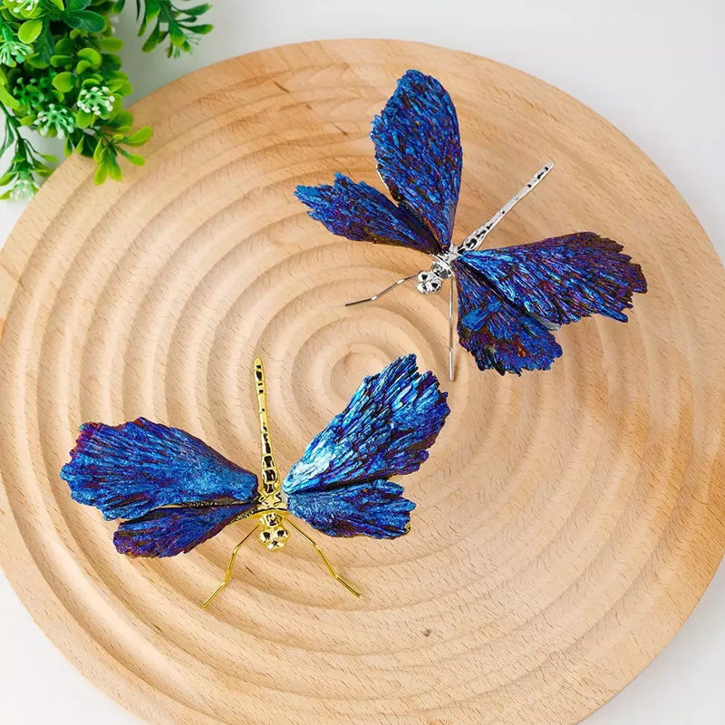 AURA TOURMALINE KYANITE DRAGONFLY | Stornfield