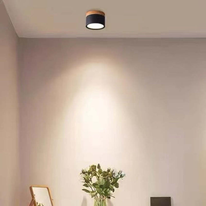 Morandi Style Modern LED Ceiling Lamp - LumiModo | Stornfield