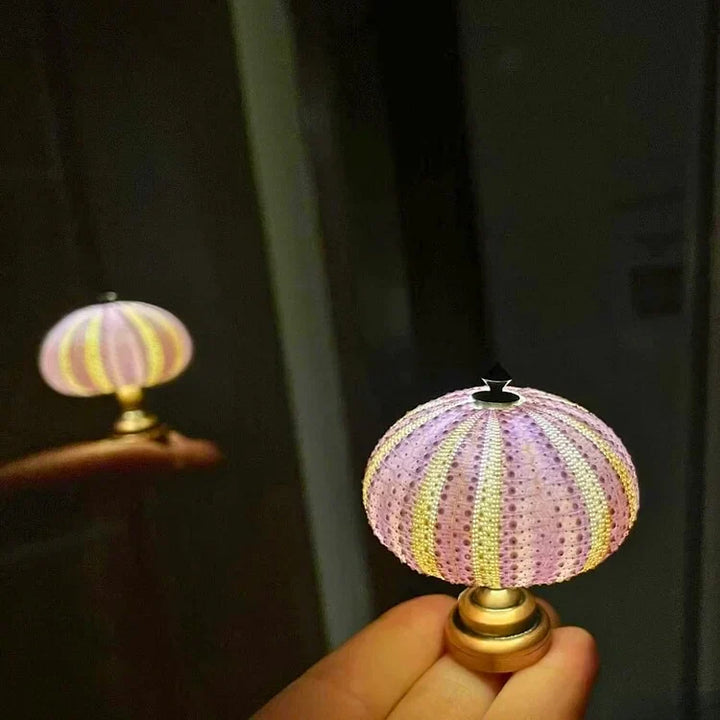 Stornfield | LumiCraft – Unique DIY Table Lamp with Natural Seashell for a Cozy Decoration