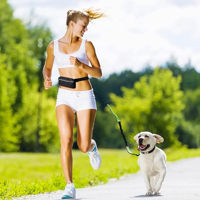 FlowLeash — Experience gentle control and relaxed walks without jerks! | Stornfield