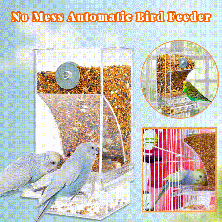 Automatic overflow protection Transparent bird feeder | Stornfield