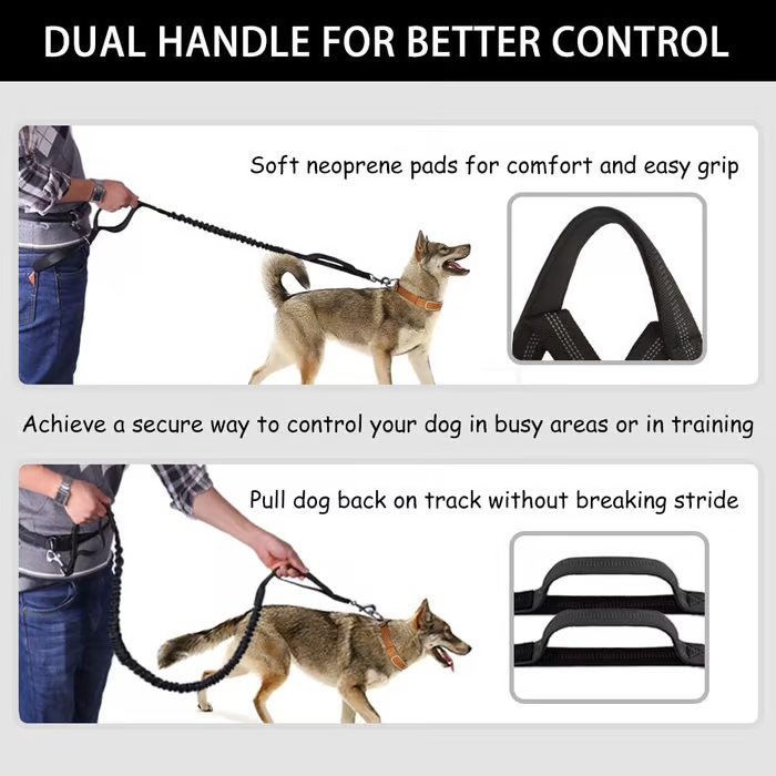 FlowLeash — Experience gentle control and relaxed walks without jerks! | Stornfield