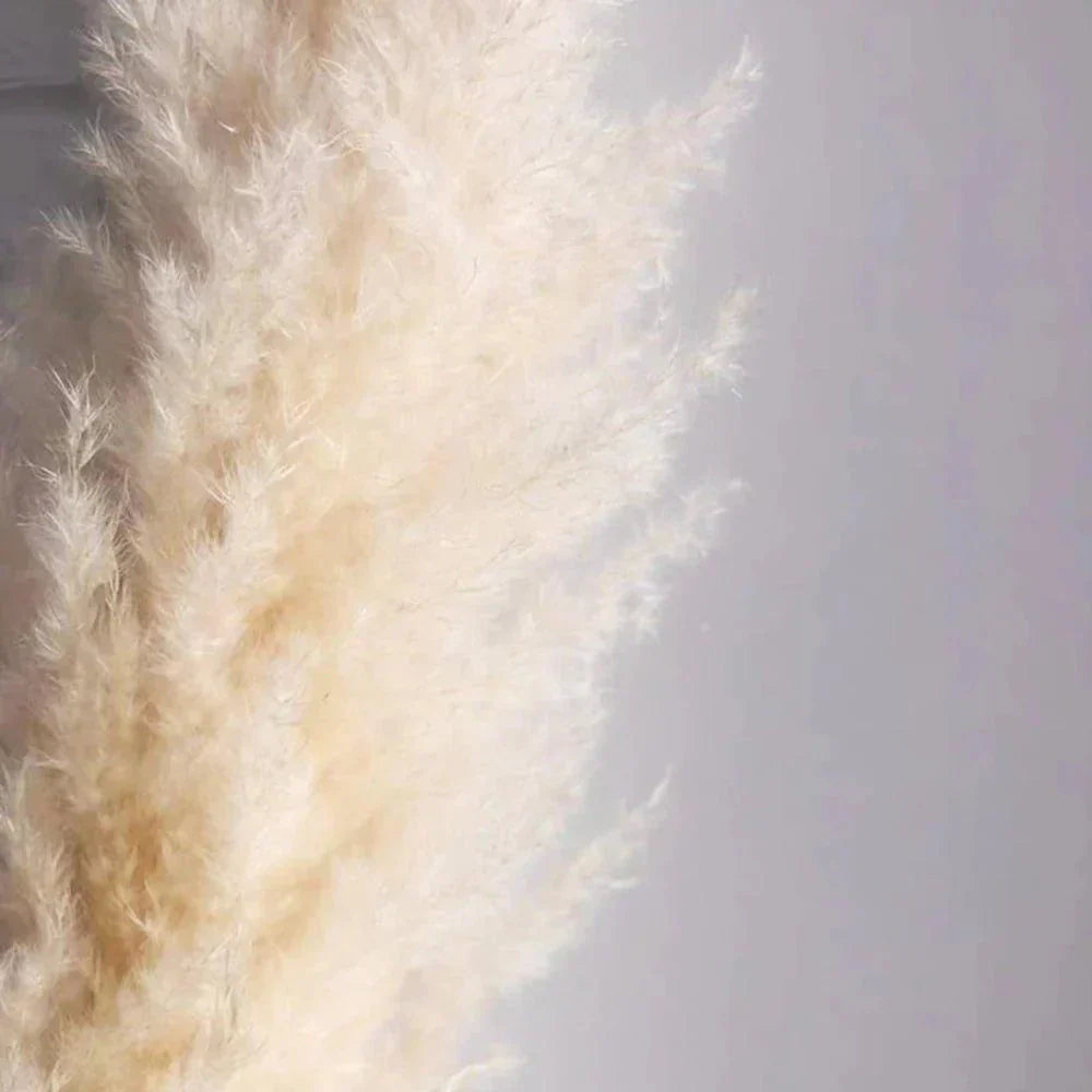 Stornfield | 80 cm natural, real dried pampas grass bouquet (white / beige / gray) │ fluffy feather for modern boho home decor