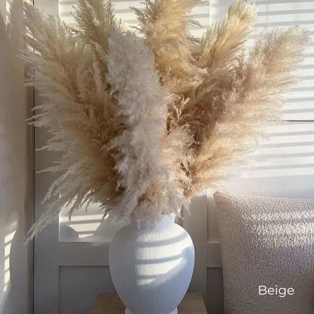 Stornfield | 80 cm natural, real dried pampas grass bouquet (white / beige / gray) │ fluffy feather for modern boho home decor