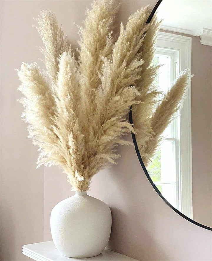 Stornfield | 80 cm natural, real dried pampas grass bouquet (white / beige / gray) │ fluffy feather for modern boho home decor