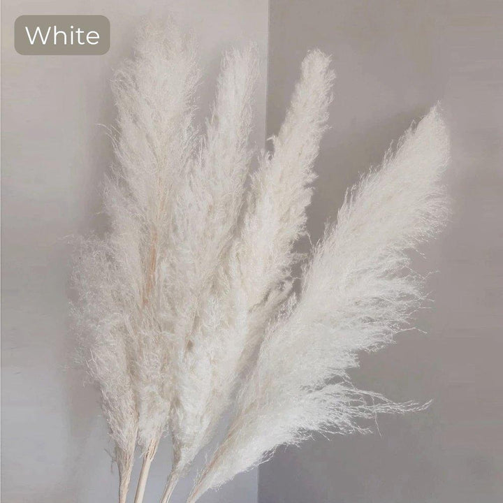 Stornfield | 80 cm natural, real dried pampas grass bouquet (white / beige / gray) │ fluffy feather for modern boho home decor