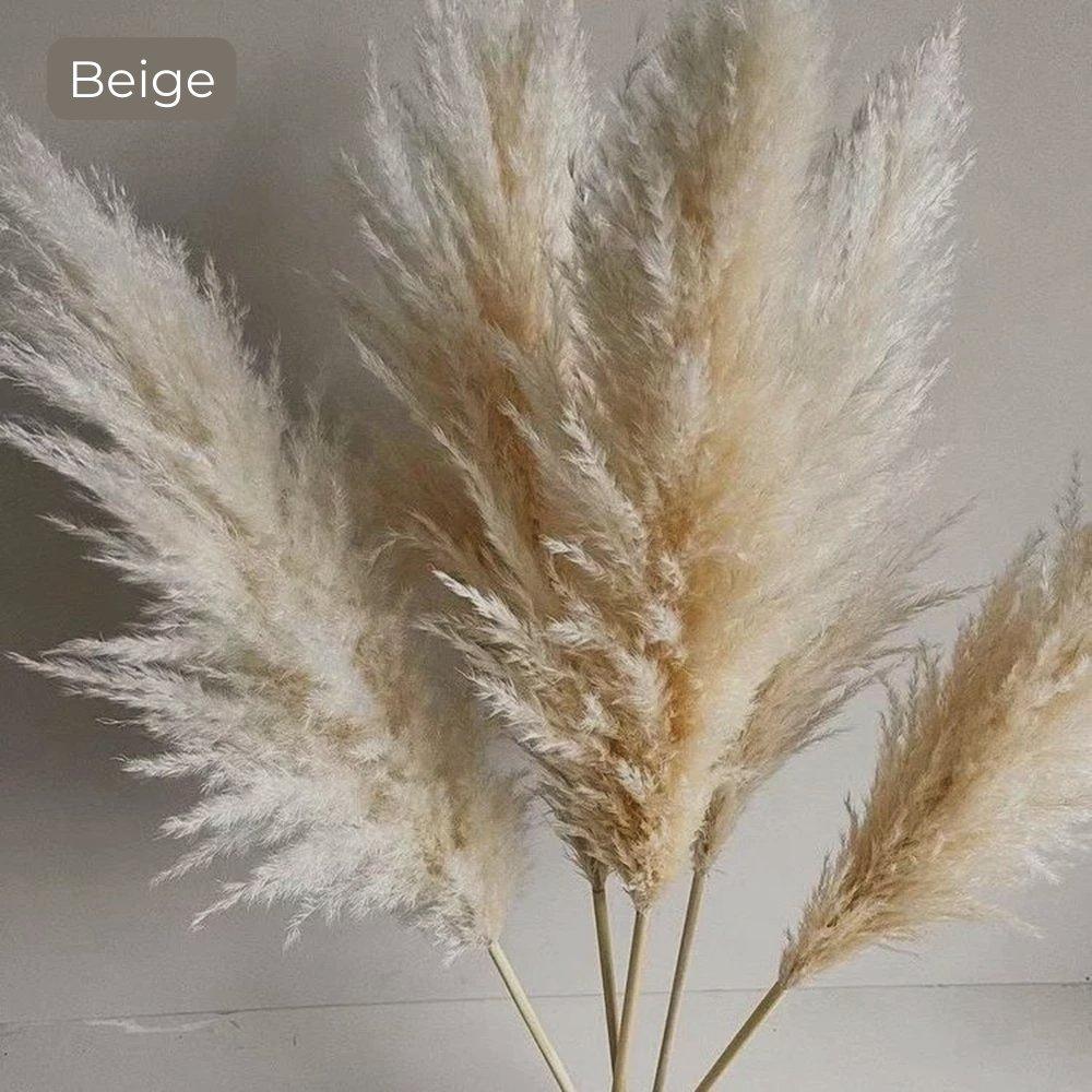 Stornfield | 80 cm natural, real dried pampas grass bouquet (white / beige / gray) │ fluffy feather for modern boho home decor