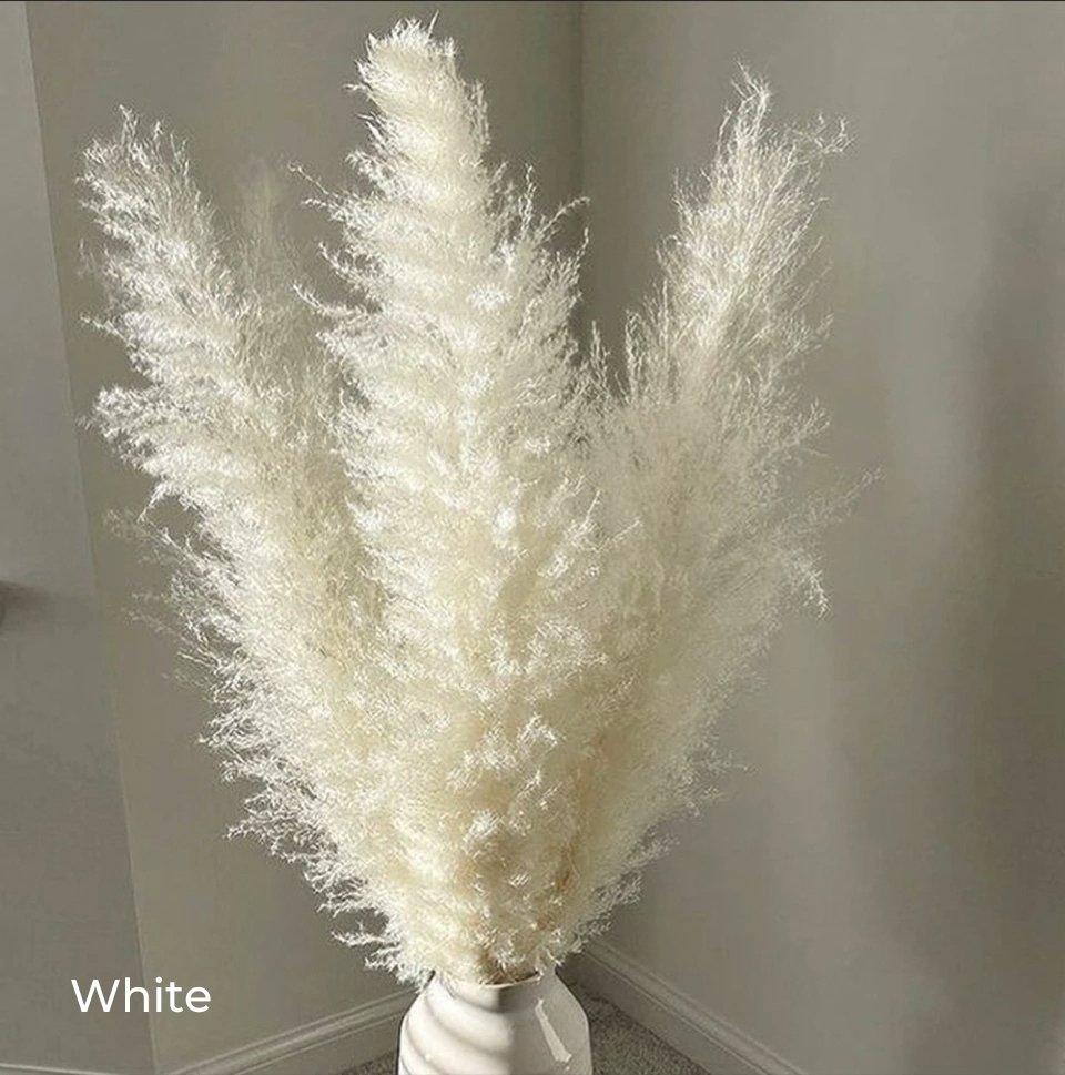 Stornfield | 80 cm natural, real dried pampas grass bouquet (white / beige / gray) │ fluffy feather for modern boho home decor