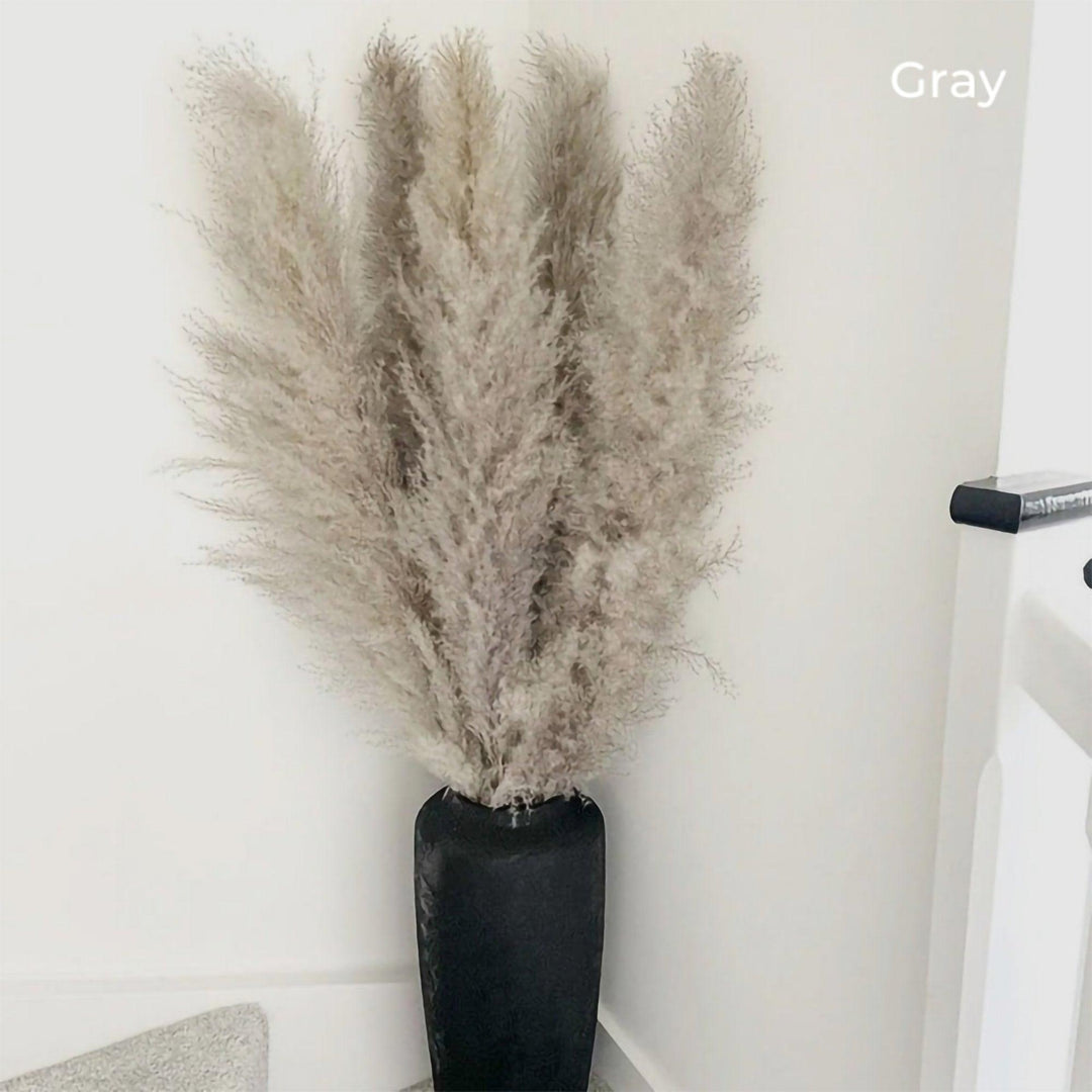 Stornfield | 80 cm natural, real dried pampas grass bouquet (white / beige / gray) │ fluffy feather for modern boho home decor