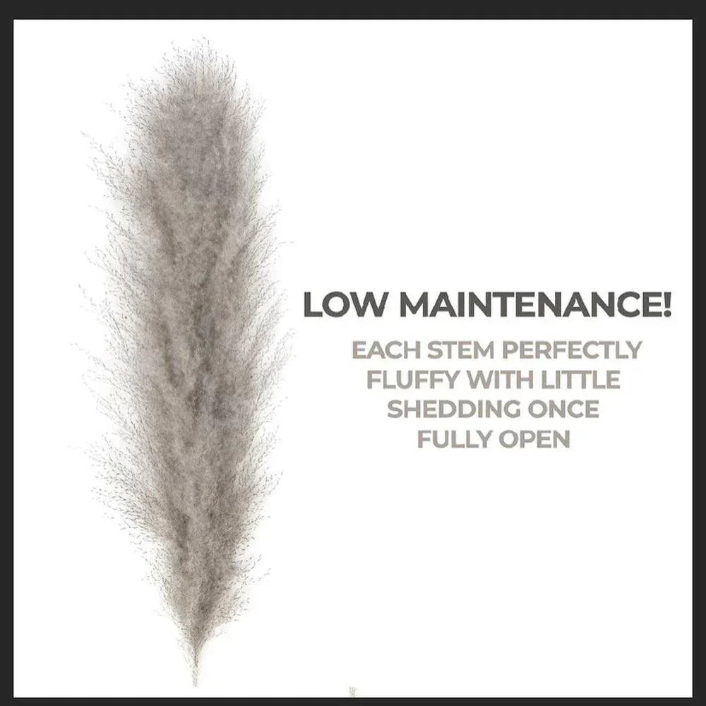 Stornfield | 80 cm natural, real dried pampas grass bouquet (white / beige / gray) │ fluffy feather for modern boho home decor