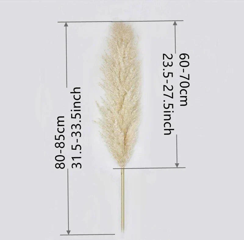 Stornfield | 80 cm natural, real dried pampas grass bouquet (white / beige / gray) │ fluffy feather for modern boho home decor
