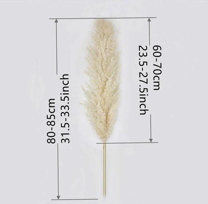 Stornfield | 80 cm natural, real dried pampas grass bouquet (white / beige / gray) │ fluffy feather for modern boho home decor