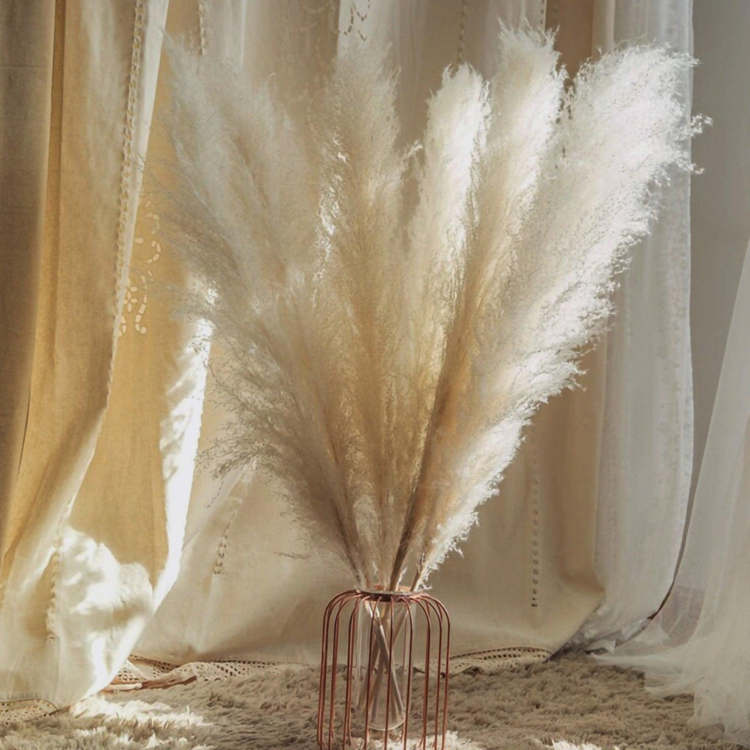 Stornfield | 80 cm natural, real dried pampas grass bouquet (white / beige / gray) │ fluffy feather for modern boho home decor