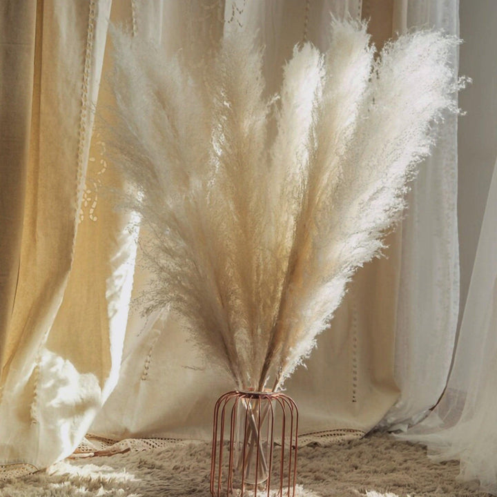Stornfield | 80 cm natural, real dried pampas grass bouquet (white / beige / gray) │ fluffy feather for modern boho home decor