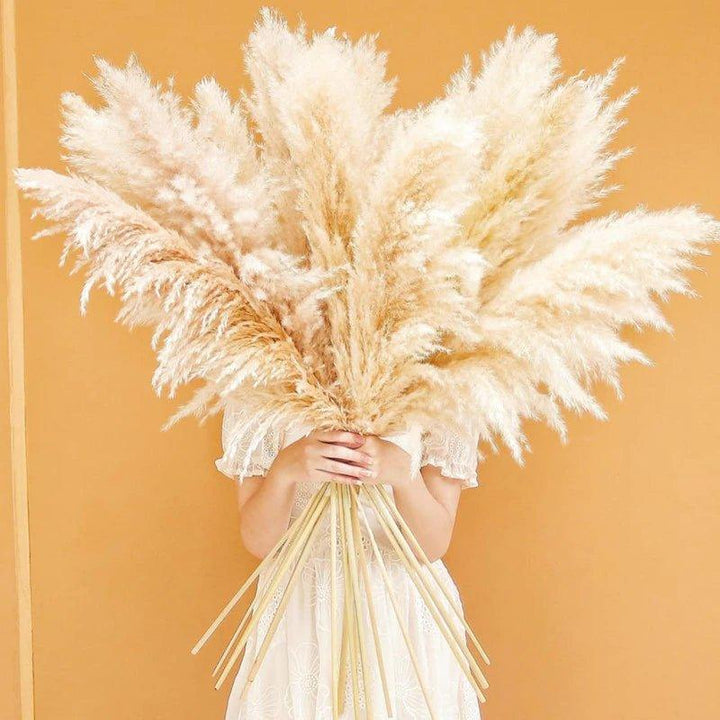 Stornfield | 80 cm natural, real dried pampas grass bouquet (white / beige / gray) │ fluffy feather for modern boho home decor