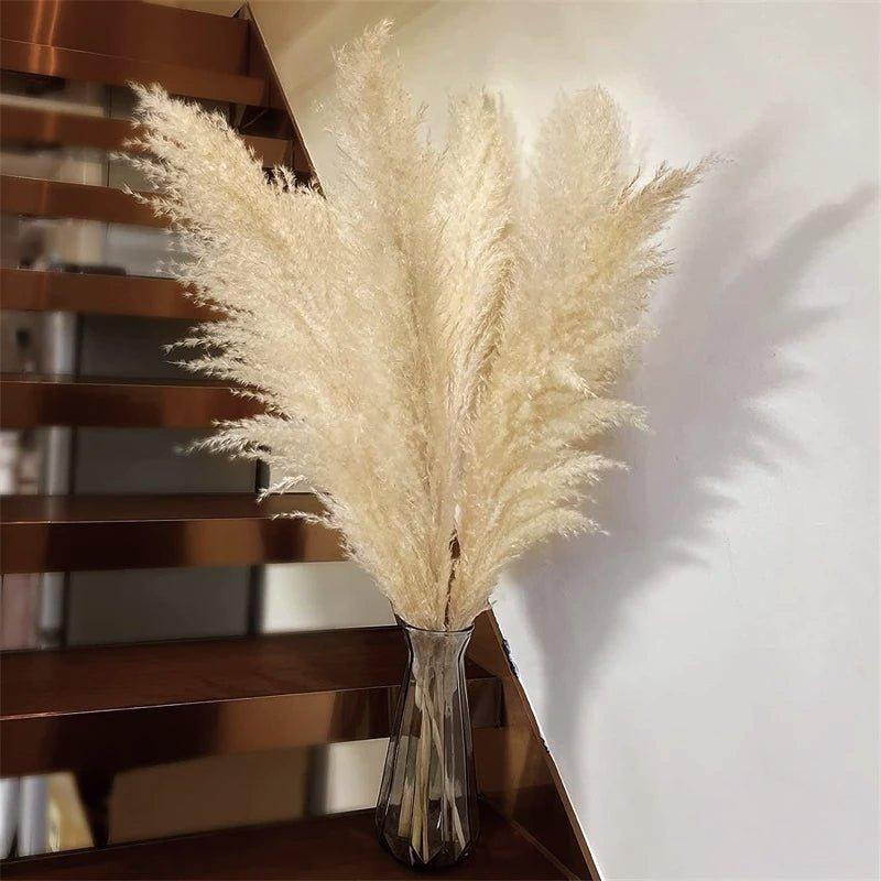 Stornfield | 80 cm natural, real dried pampas grass bouquet (white / beige / gray) │ fluffy feather for modern boho home decor