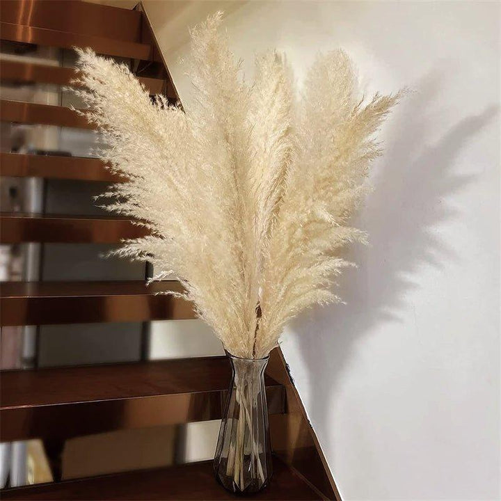 Stornfield | 80 cm natural, real dried pampas grass bouquet (white / beige / gray) │ fluffy feather for modern boho home decor